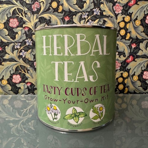 Herbal Tea Tin - Grow your own tea kit